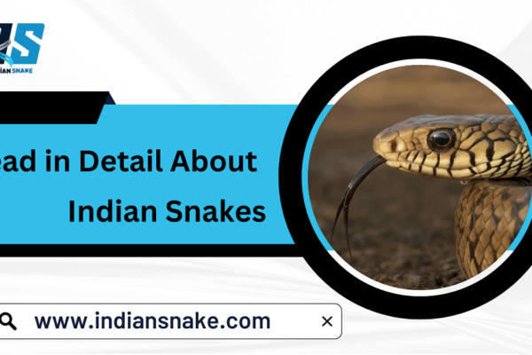 Indian snakes