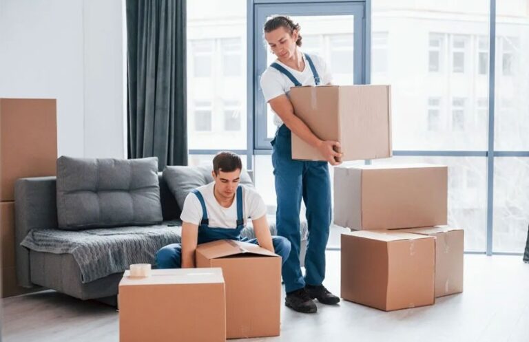 Packing And Moving Industry