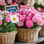 Buying Fresh Flowers in Malta