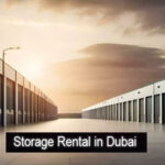 storage dubau