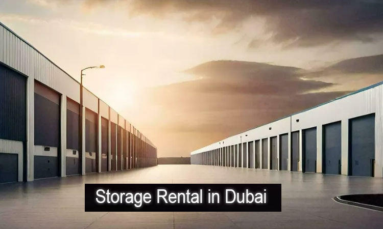 storage dubau