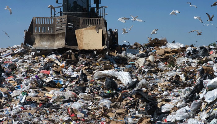 The Circular Economy: Redefining Urban Waste Management and Material Recovery